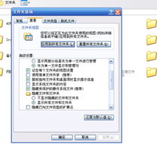 科汛CMS 一站式网站建设服务的专业之选